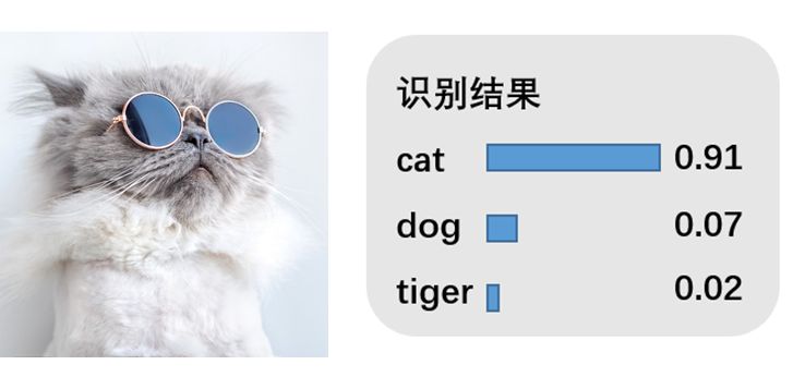 图像分类模型